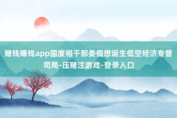 赌钱赚钱app国度相干部委假想诞生低空经济专管司局-压赌注游戏-登录入口