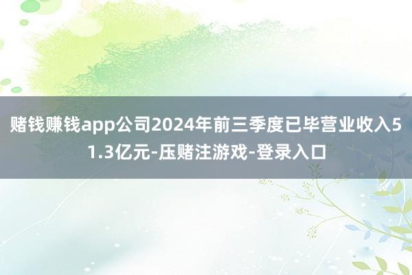 赌钱赚钱app公司2024年前三季度已毕营业收入51.3亿元-压赌注游戏-登录入口